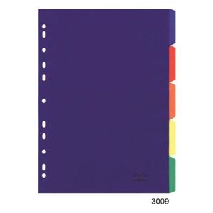 Picture of A4 Index 10 Tab Rainbow